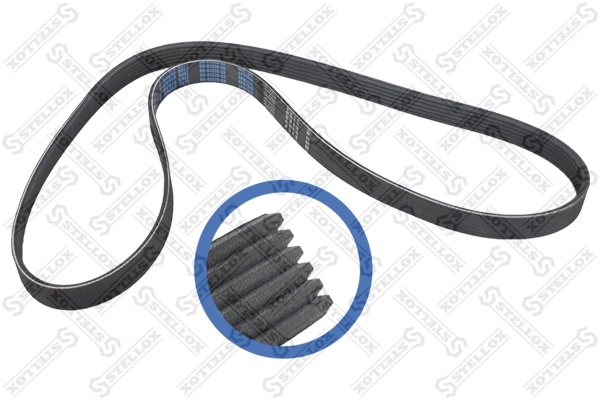 V-Ribbed Belt 06-01370-SX