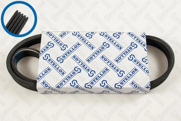 V-Ribbed Belt 05-00810-SX