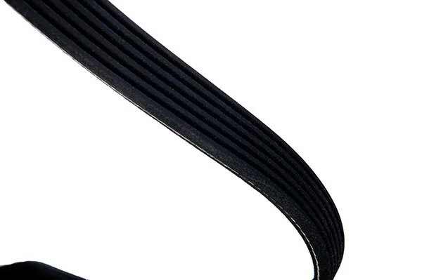 V-Ribbed Belt 06-01495-SX