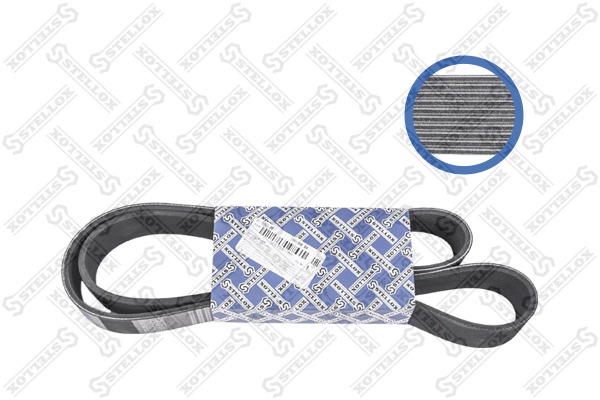 V-Ribbed Belt 01-01350-SX