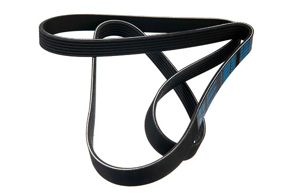 V-Ribbed Belt 06-01580-SX