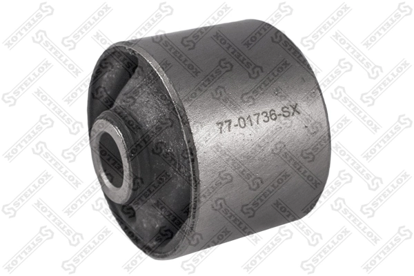 Mounting, transfer case 77-01736-SX