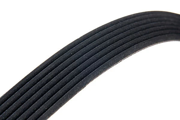 V-Ribbed Belt 07-02418-SX