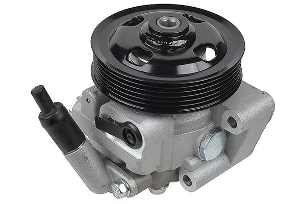 Hydraulic Pump, steering 00-36329-SX