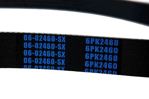 V-Ribbed Belt 06-02460-SX