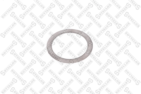 Washer 84-55079-SX