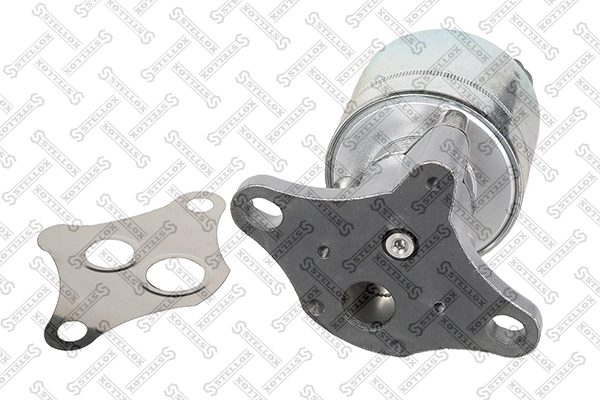 EGR Valve 01-25109-SX