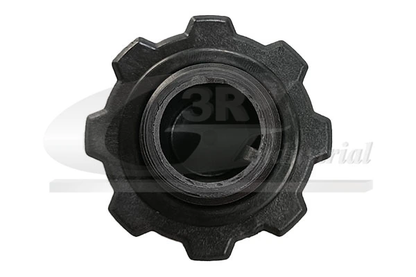 Sealing Cap, oil filler neck 65801