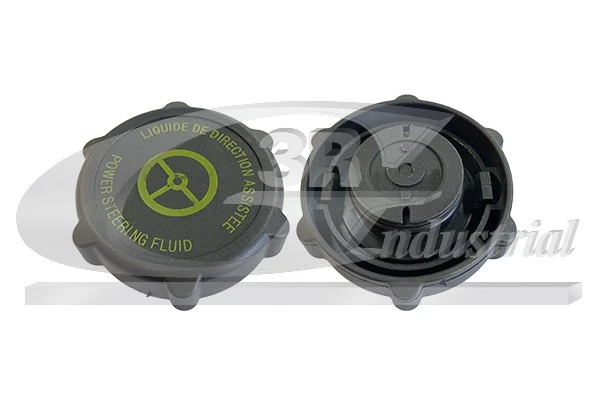 Seal Ring, power steering pump blanking plug 81318