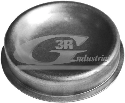 Cap, wheel bearing 80226