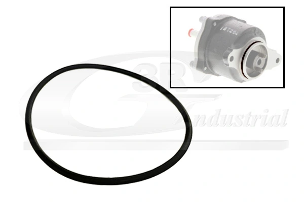 Joint, pompe à vide 81091