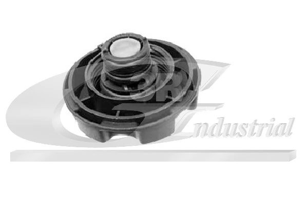 Cap, coolant tank 80116