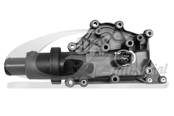 Thermostat, coolant 81622