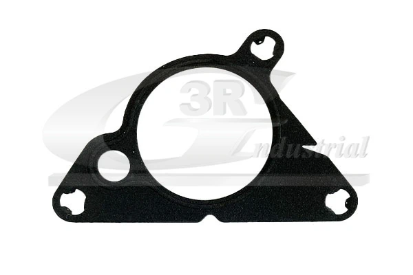 Gasket, vacuum pump 74213