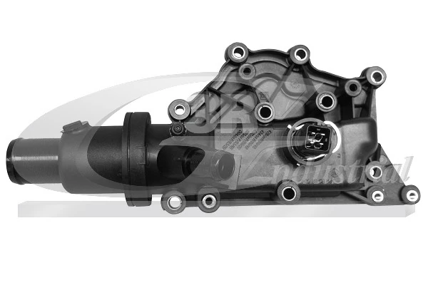 Thermostat, coolant 81620