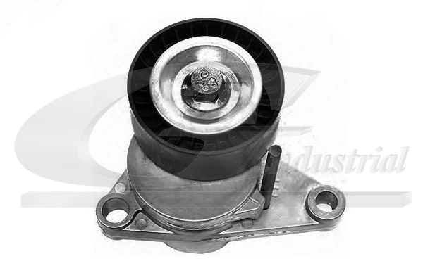 Tensioner Lever, V-ribbed belt 13201