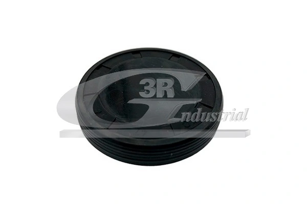 Plug, rocker arm shaft mounting bore 84613