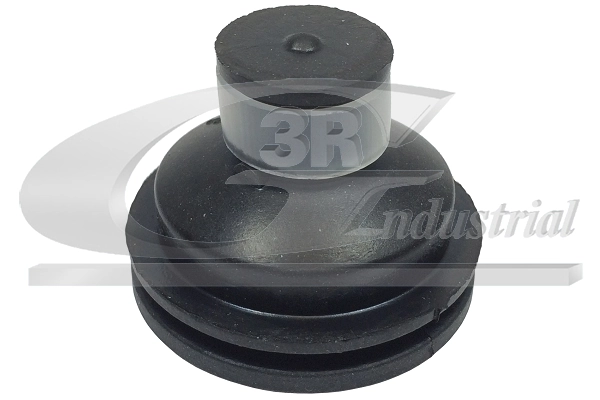 Mounting, engine 81653