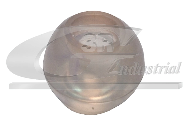 Bushing, selector/shift rod 24718