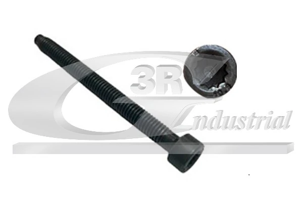 Adjustment Screw, injector pump 99701