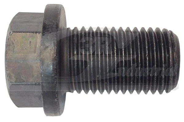 Screw Plug, oil sump 83044
