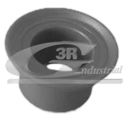 Bushing, selector/shift rod 24607