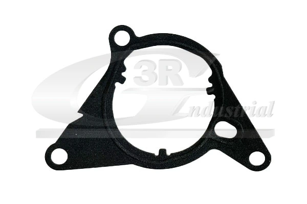 Gasket, vacuum pump 74210