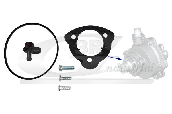 Repair Set, vacuum pump (braking system) 74103