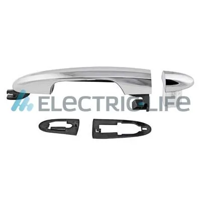 Exterior Door Handle ZR80647