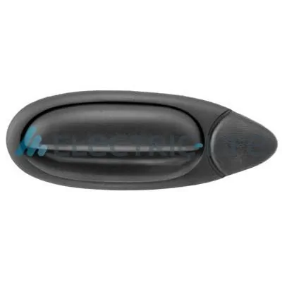 Exterior Door Handle ZR80469