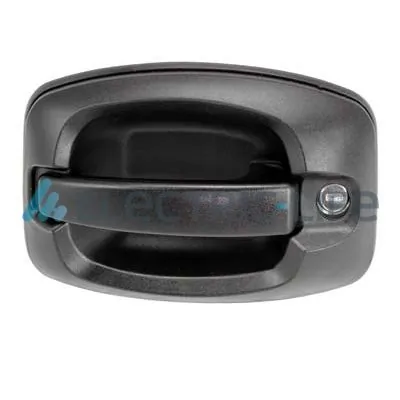 Exterior Door Handle ZR80582