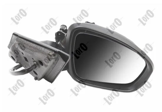 Exterior Mirror 3101M06