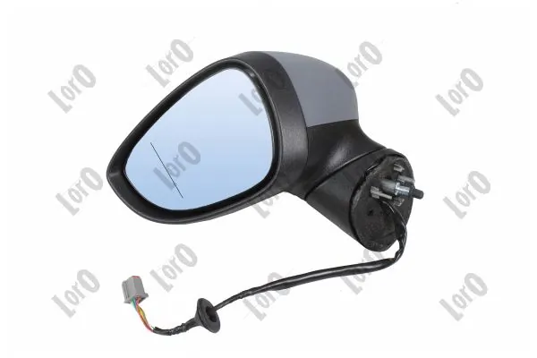 Exterior Mirror 1251M01