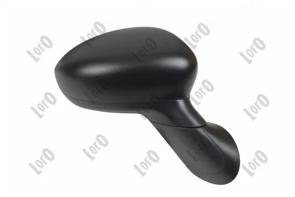 Exterior Mirror 1101M06