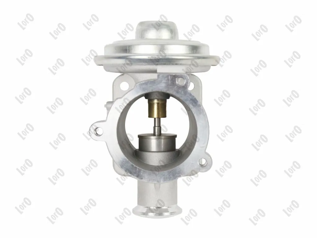 Válvula EGR 121-01-064