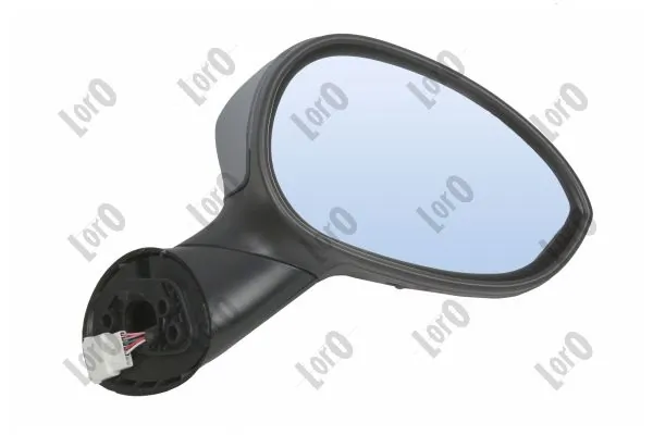 Exterior Mirror 1101M10