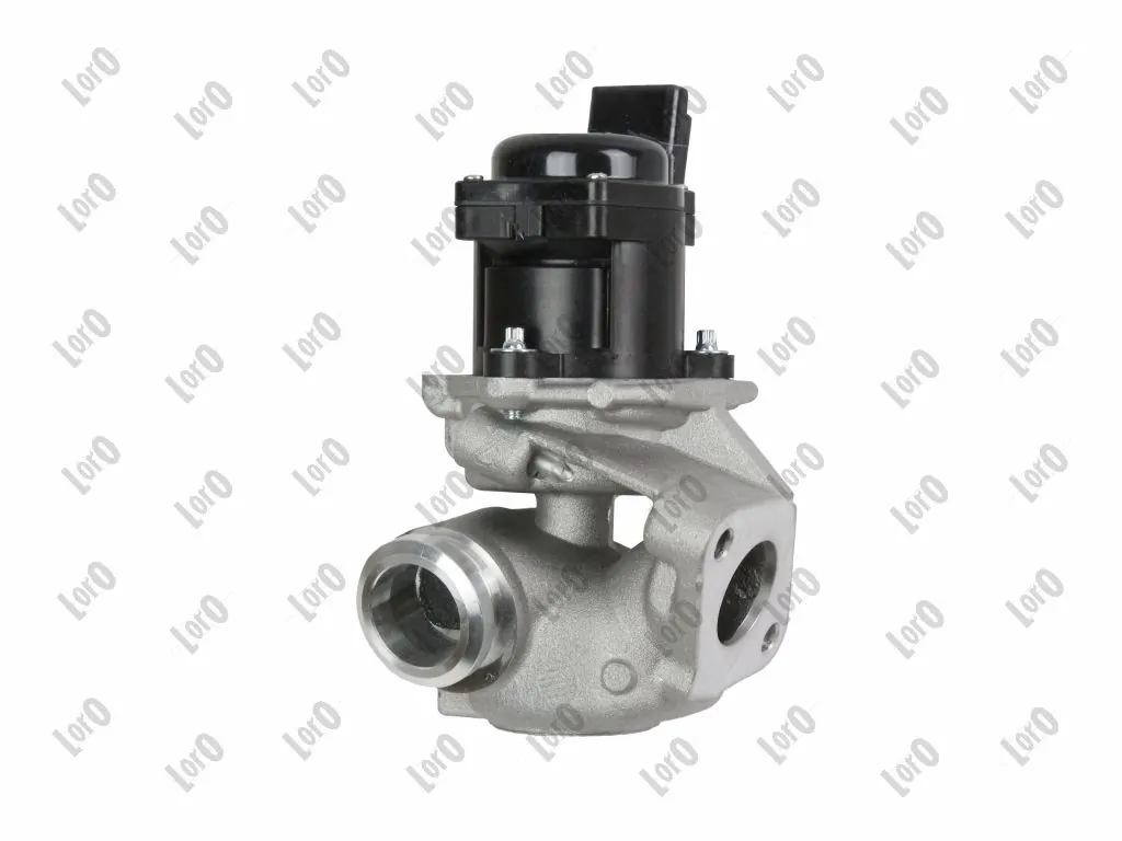 EGR Valve 121-01-019