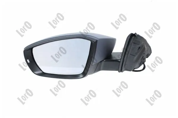 Exterior Mirror 3513M01