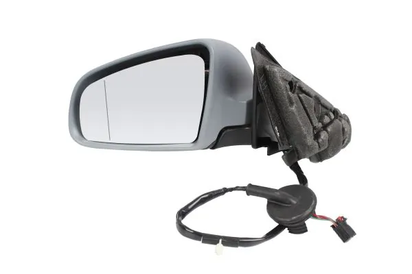 Exterior Mirror 0209M01