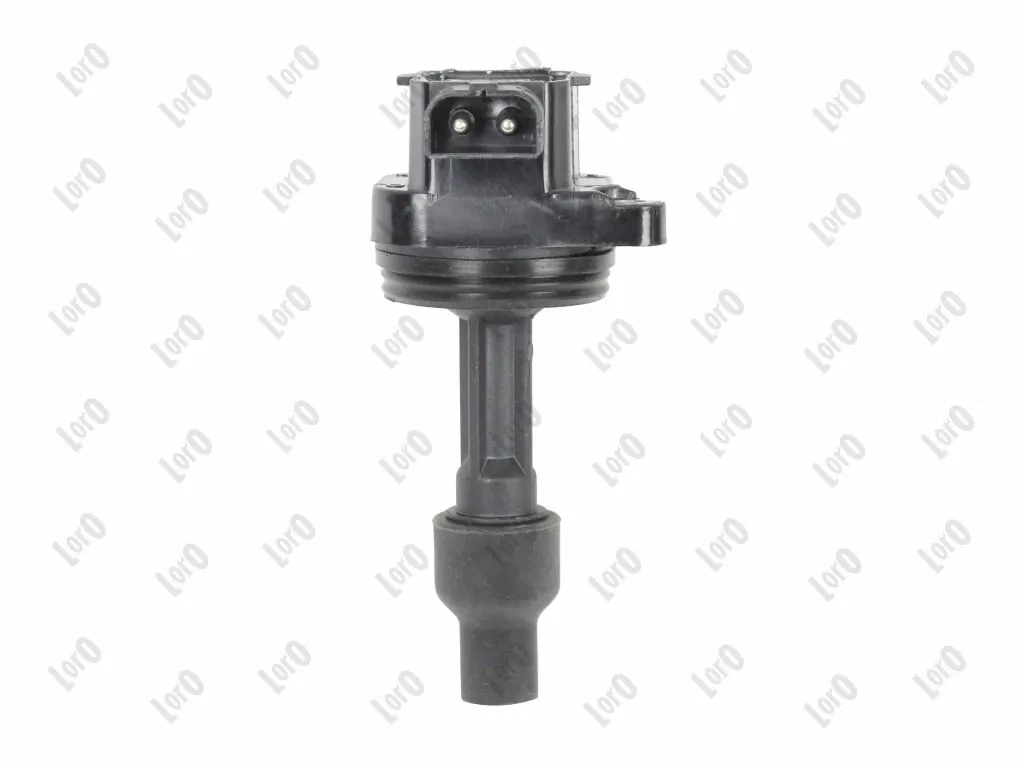 Ignition Coil 122-01-071