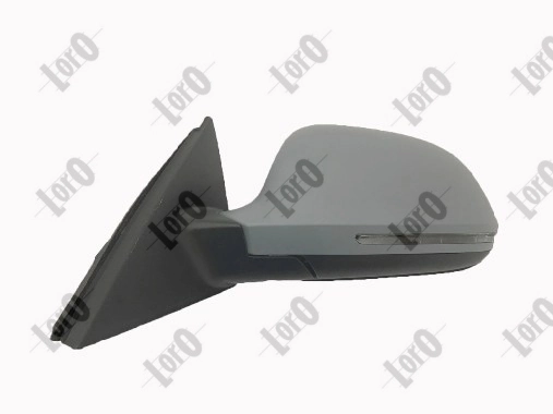 Exterior Mirror 0217M09