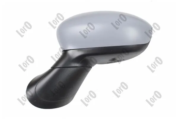 Exterior Mirror 1101M09