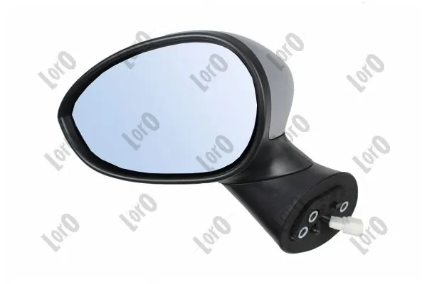 Exterior Mirror 1101M09