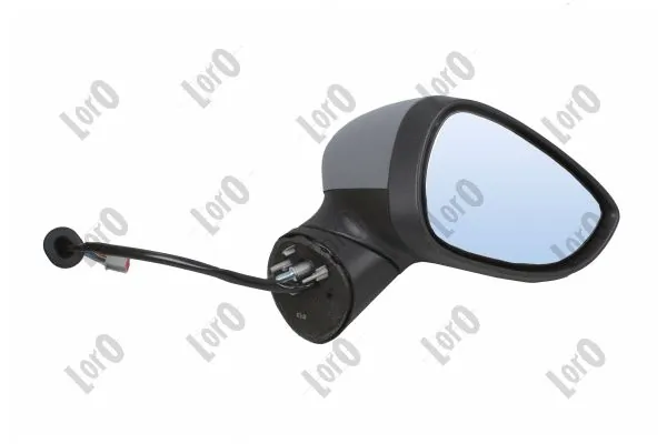 Exterior Mirror 1251M04