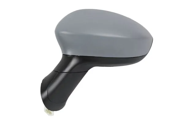 Exterior Mirror 1113M05