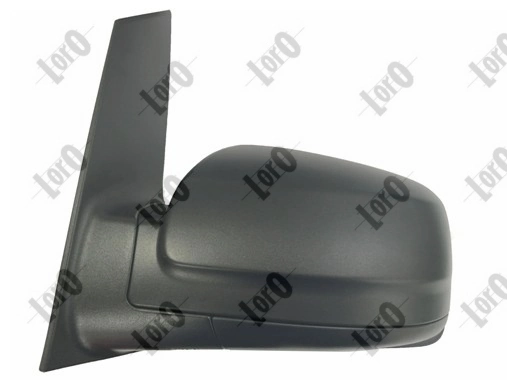Exterior Mirror 2441M01