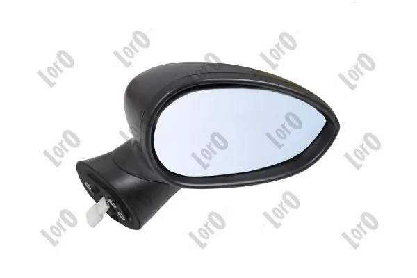 Exterior Mirror 1101M06