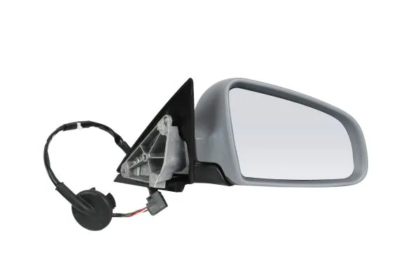 Exterior Mirror 0209M02