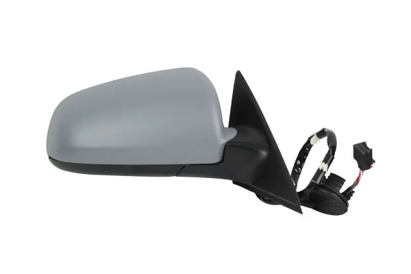 Exterior Mirror 0209M02