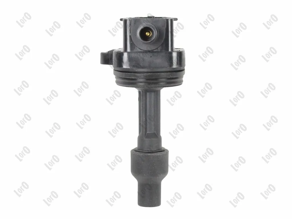 Ignition Coil 122-01-071